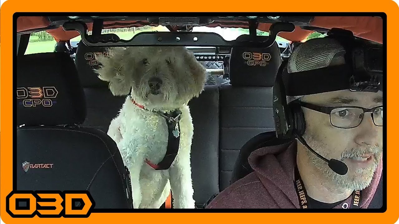 Going Jogging #13 - Coffee Run and BlueParrott B350-XT Headset Testing