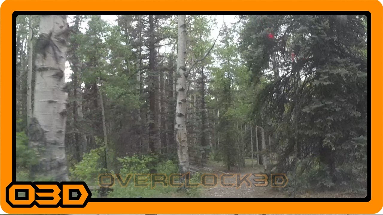 Running Trees in the National Forest